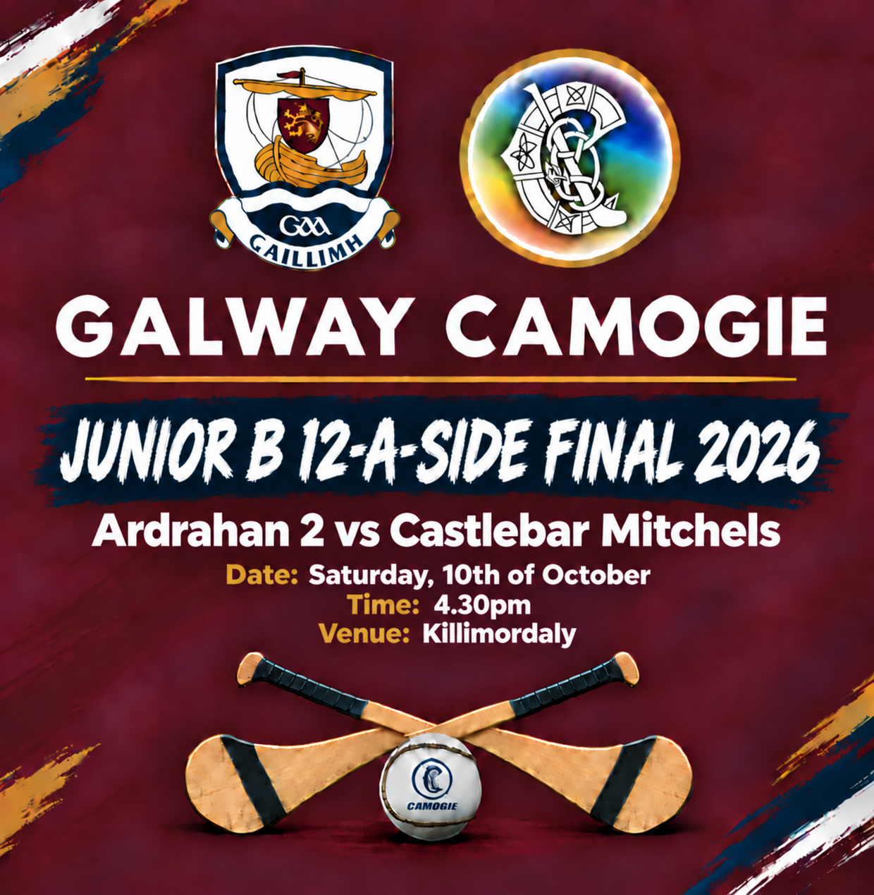 JUNIOR B 12-A-SIDE COUNTY FINAL 2026 thumbnail